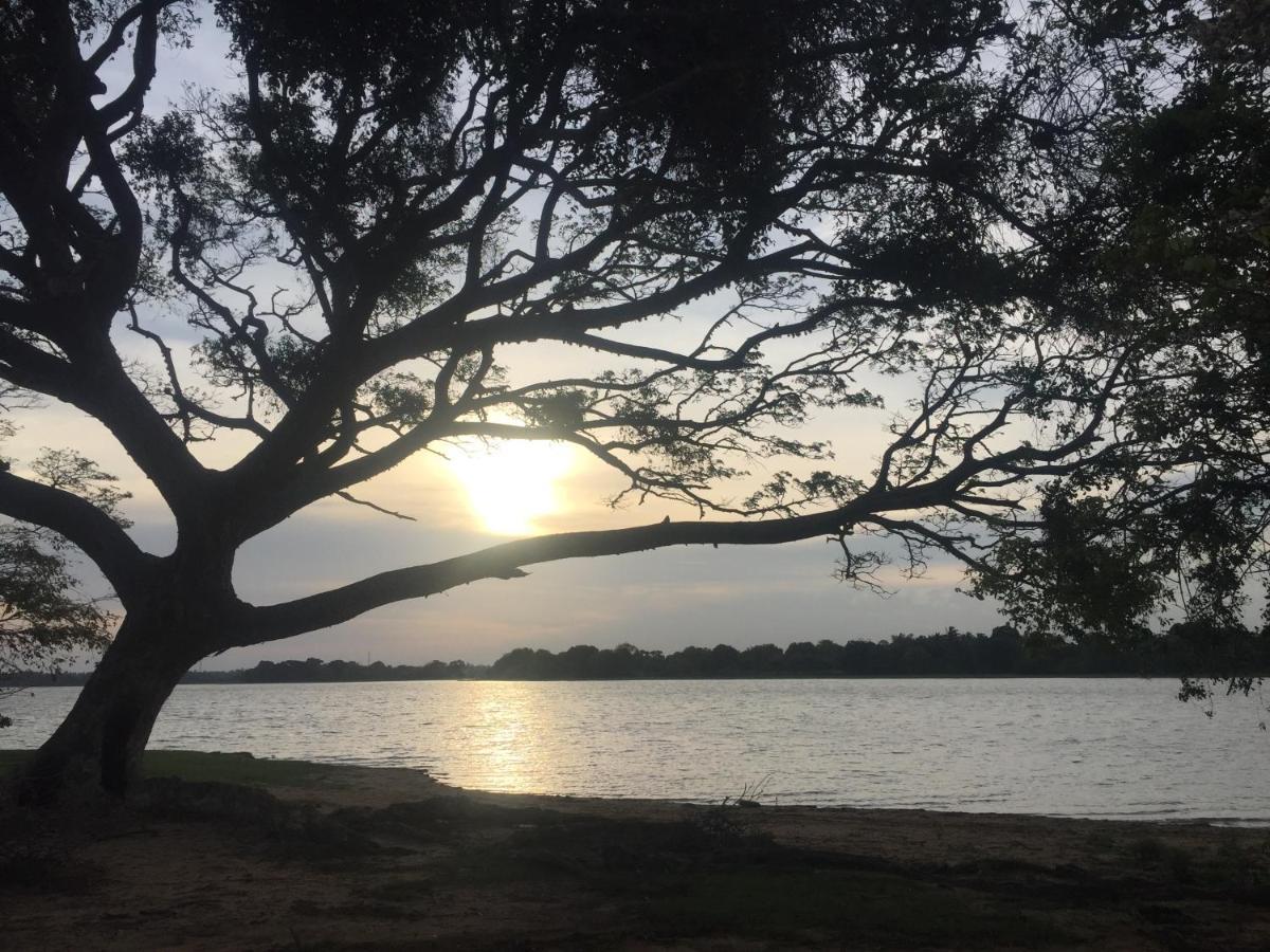 Saffron Lake Yala ทิซซามาฮารามา ภายนอก รูปภาพ